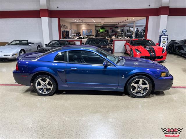 2004 Ford Mustang SVT Cobra (CC-1779683) for sale in Glen Ellyn, Illinois