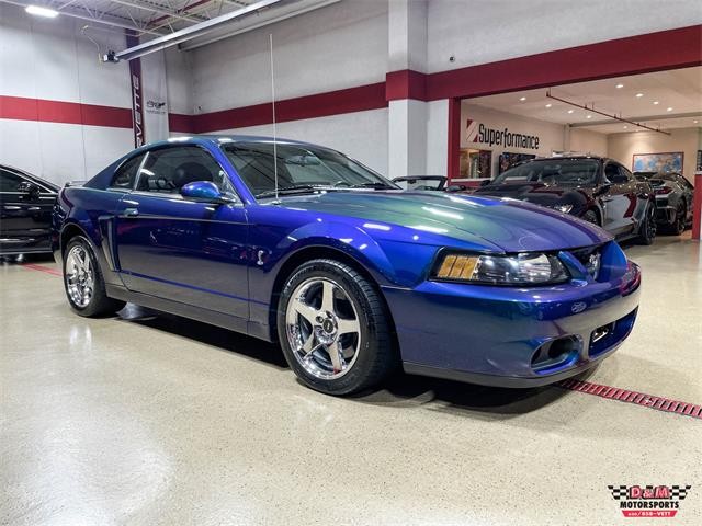 2004 Ford Mustang SVT Cobra (CC-1779683) for sale in Glen Ellyn, Illinois