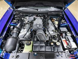 2004 Ford Mustang SVT Cobra (CC-1779683) for sale in Glen Ellyn, Illinois