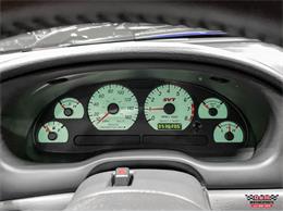 2004 Ford Mustang SVT Cobra (CC-1779683) for sale in Glen Ellyn, Illinois