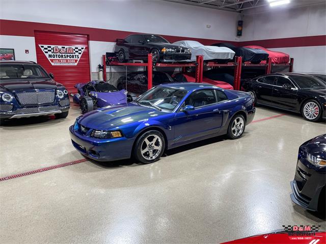2004 Ford Mustang SVT Cobra (CC-1779683) for sale in Glen Ellyn, Illinois