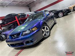2004 Ford Mustang SVT Cobra (CC-1779683) for sale in Glen Ellyn, Illinois