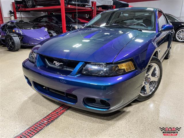 2004 Ford Mustang Svt Cobra For Sale Cc 1779683 3096