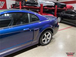 2004 Ford Mustang SVT Cobra (CC-1779683) for sale in Glen Ellyn, Illinois