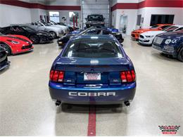 2004 Ford Mustang SVT Cobra (CC-1779683) for sale in Glen Ellyn, Illinois