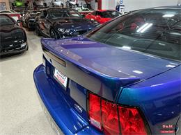 2004 Ford Mustang SVT Cobra (CC-1779683) for sale in Glen Ellyn, Illinois