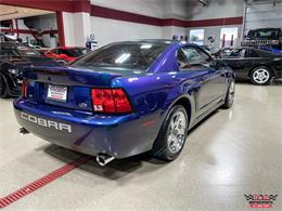 2004 Ford Mustang SVT Cobra (CC-1779683) for sale in Glen Ellyn, Illinois