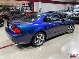 2004 Ford Mustang SVT Cobra (CC-1779683) for sale in Glen Ellyn, Illinois