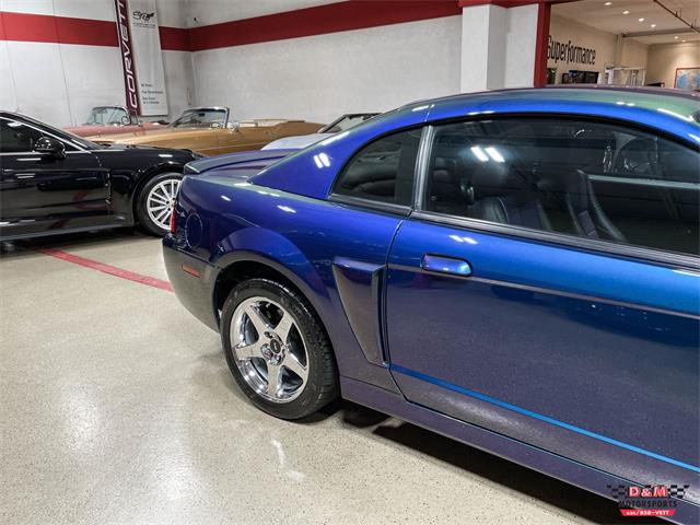 2004 Ford Mustang SVT Cobra (CC-1779683) for sale in Glen Ellyn, Illinois