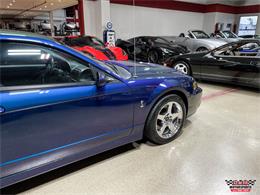 2004 Ford Mustang SVT Cobra (CC-1779683) for sale in Glen Ellyn, Illinois