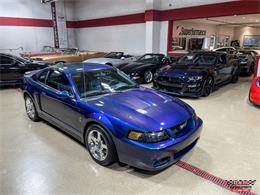 2004 Ford Mustang SVT Cobra (CC-1779683) for sale in Glen Ellyn, Illinois