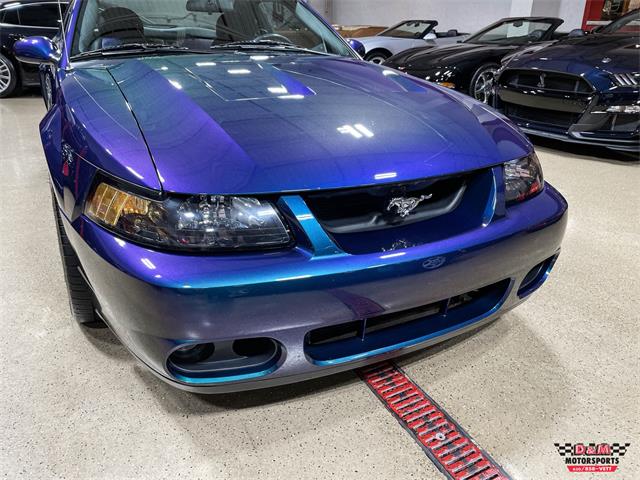 2004 Ford Mustang SVT Cobra (CC-1779683) for sale in Glen Ellyn, Illinois