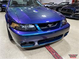 2004 Ford Mustang SVT Cobra (CC-1779683) for sale in Glen Ellyn, Illinois