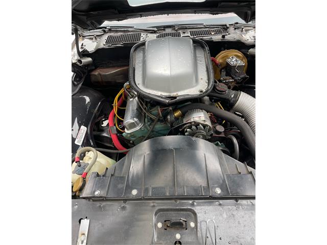 1977 Pontiac Firebird Trans Am (CC-1781124) for sale in Woodland Park, New Jersey