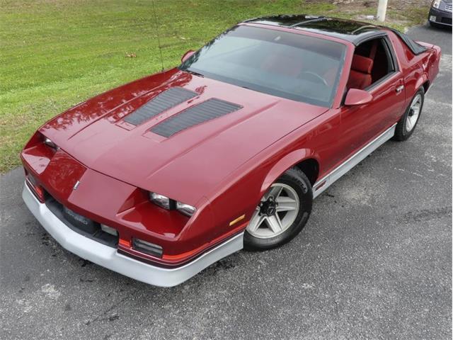 1987 Chevrolet Camaro (CC-1781185) for sale in Palmetto, Florida