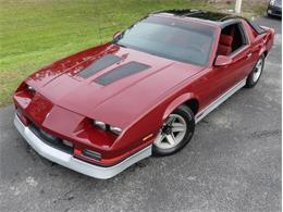 1987 Chevrolet Camaro (CC-1781185) for sale in Palmetto, Florida