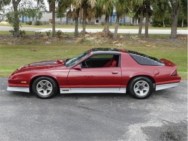 1987 Chevrolet Camaro (CC-1781185) for sale in Palmetto, Florida