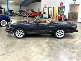 1984 Alfa Romeo Spider (CC-1781257) for sale in Salem, Ohio