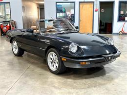 1984 Alfa Romeo Spider (CC-1781257) for sale in Salem, Ohio