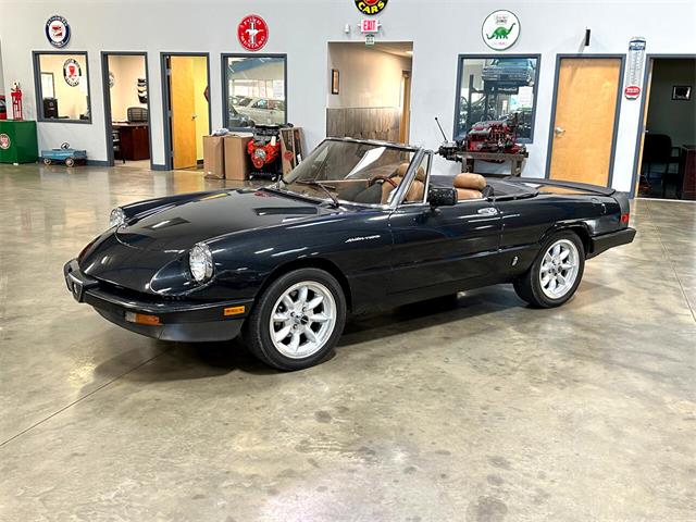 1984 Alfa Romeo Spider (CC-1781257) for sale in Salem, Ohio