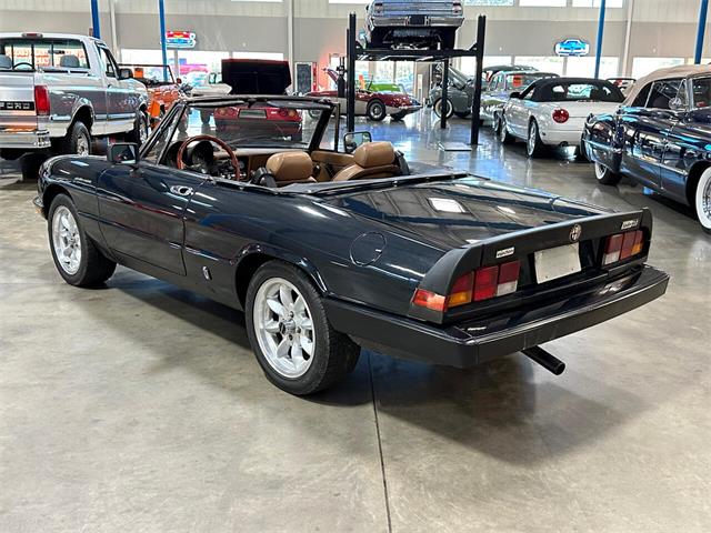1984 Alfa Romeo Spider (CC-1781257) for sale in Salem, Ohio