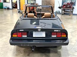 1984 Alfa Romeo Spider (CC-1781257) for sale in Salem, Ohio
