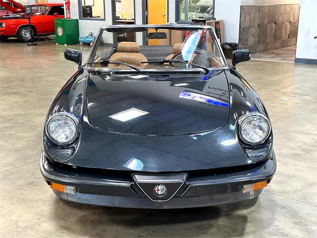 1984 Alfa Romeo Spider (CC-1781257) for sale in Salem, Ohio