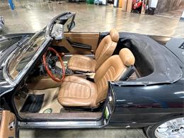 1984 Alfa Romeo Spider (CC-1781257) for sale in Salem, Ohio