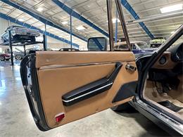 1984 Alfa Romeo Spider (CC-1781257) for sale in Salem, Ohio