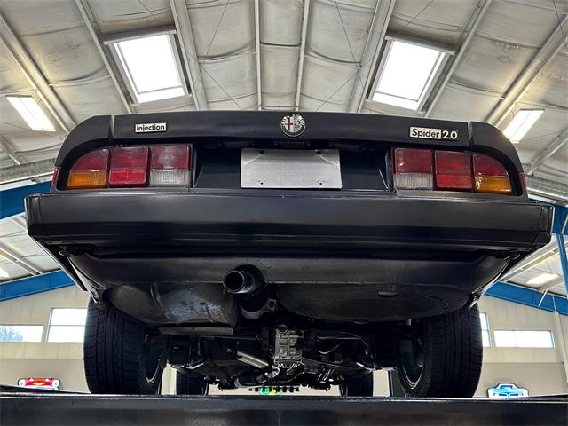 1984 Alfa Romeo Spider (CC-1781257) for sale in Salem, Ohio