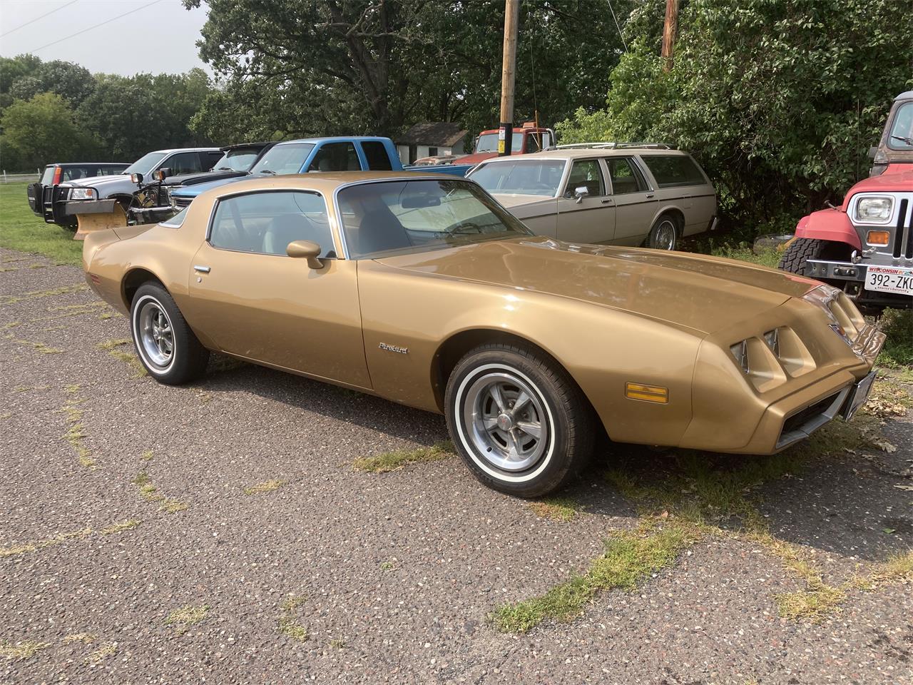 1980 Pontiac Firebird For Sale 