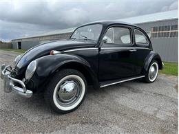 1963 Volkswagen Beetle (CC-1781505) for sale in Staunton, Illinois