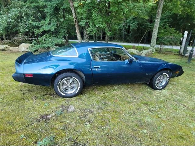 1979 Pontiac Firebird (CC-1781889) for sale in Cadillac, Michigan