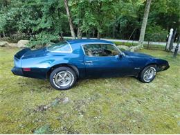 1979 Pontiac Firebird (CC-1781889) for sale in Cadillac, Michigan