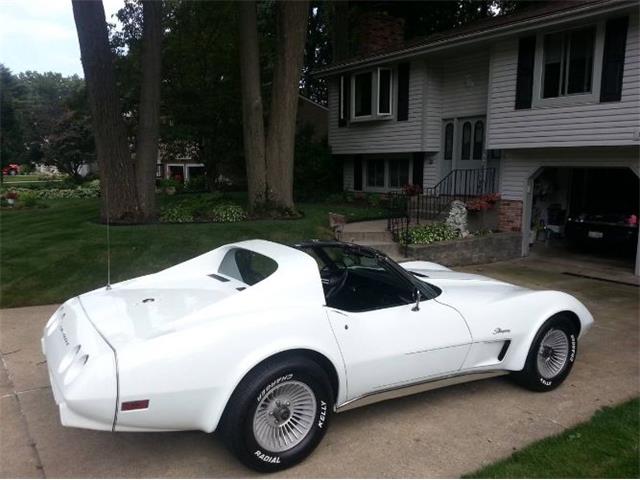 1975 Chevrolet Corvette (CC-1781890) for sale in Cadillac, Michigan
