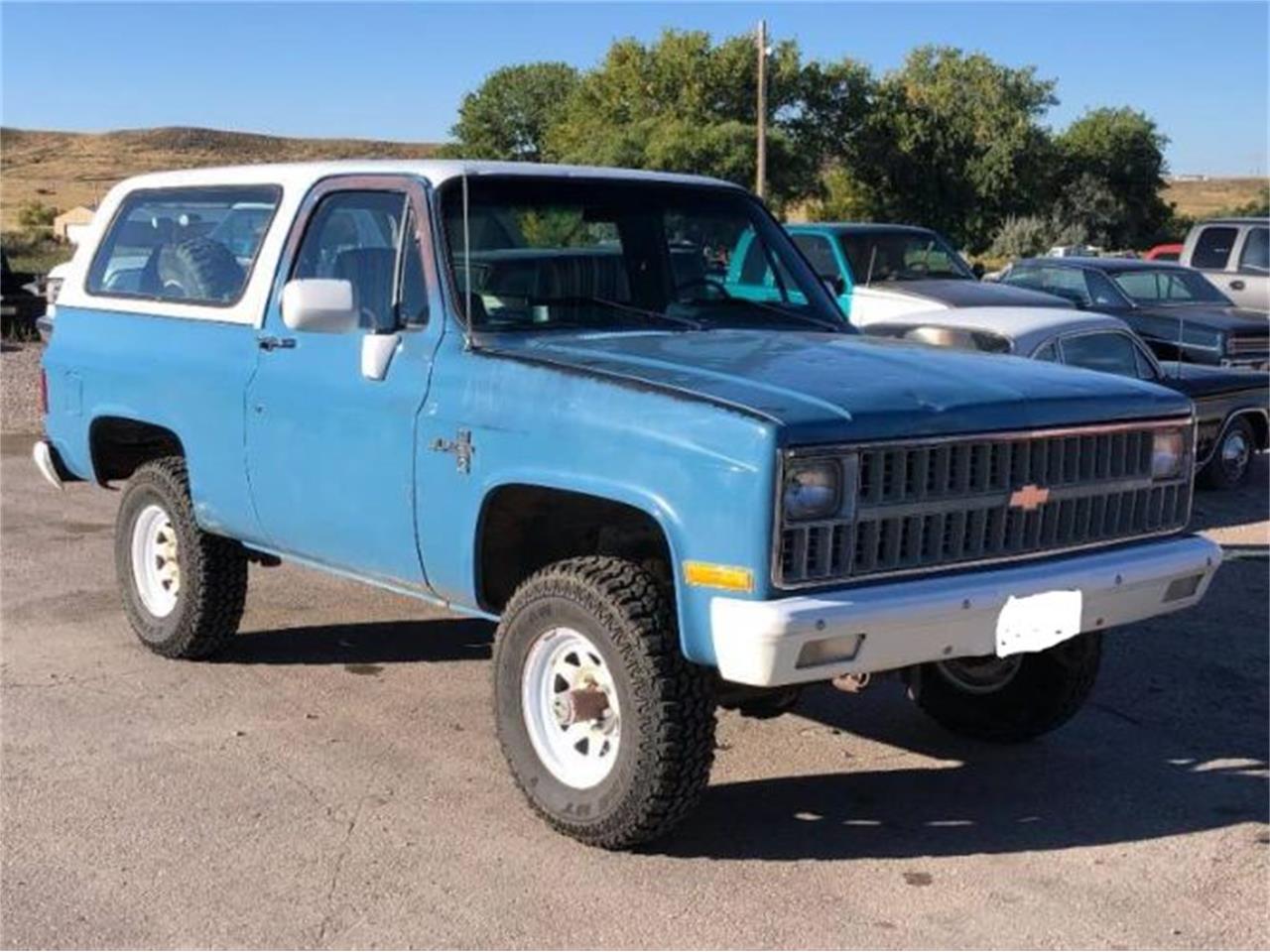 1981 Chevrolet Blazer for Sale | ClassicCars.com | CC-1781899