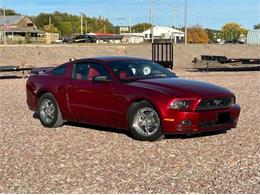 2014 Ford Mustang (CC-1781956) for sale in Cadillac, Michigan