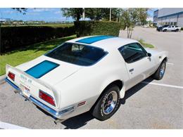 1972 Pontiac Firebird Trans Am (CC-1782029) for sale in Sarasota, Florida