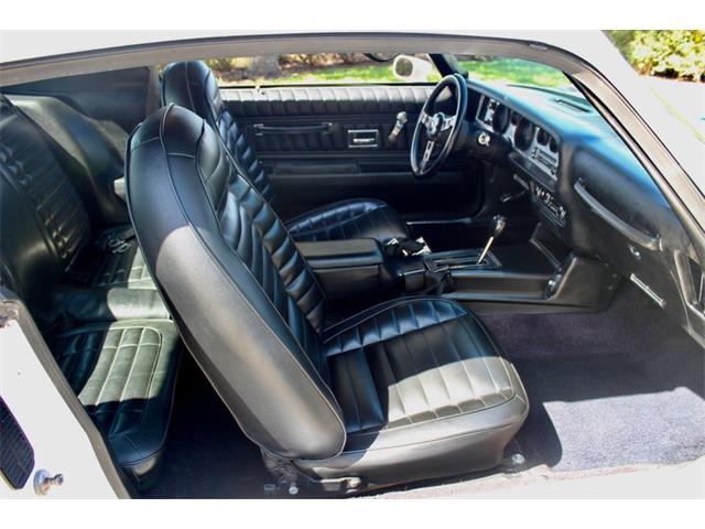1972 Pontiac Firebird Trans Am (CC-1782029) for sale in Sarasota, Florida