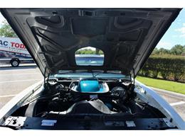 1972 Pontiac Firebird Trans Am (CC-1782029) for sale in Sarasota, Florida