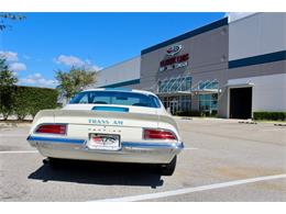 1972 Pontiac Firebird Trans Am (CC-1782029) for sale in Sarasota, Florida