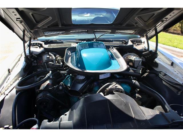 1972 Pontiac Firebird Trans Am (CC-1782029) for sale in Sarasota, Florida