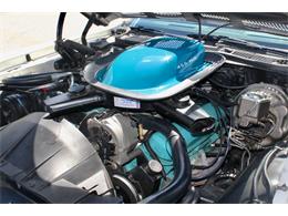 1972 Pontiac Firebird Trans Am (CC-1782029) for sale in Sarasota, Florida