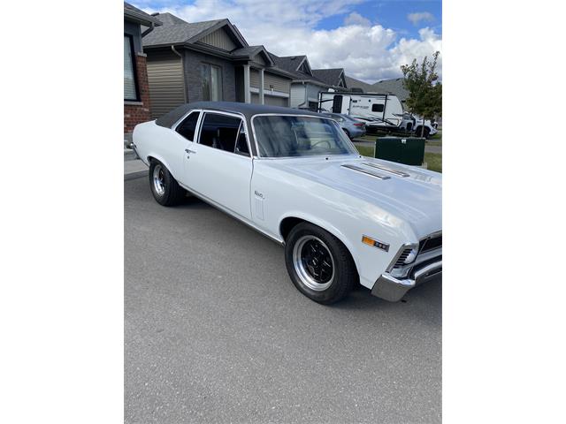 1969 Chevrolet Nova (CC-1782144) for sale in Ottawa , Ontario