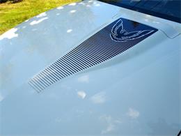 1988 Pontiac Firebird Formula (CC-1782295) for sale in Lake Hiawatha, New Jersey