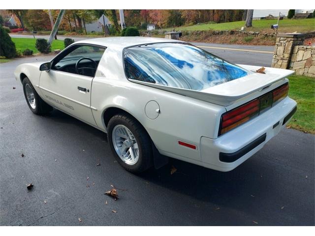 1988 Pontiac Firebird Formula (CC-1782295) for sale in Lake Hiawatha, New Jersey