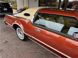 1976 Lincoln Continental (CC-1782401) for sale in Shelby Township, Michigan
