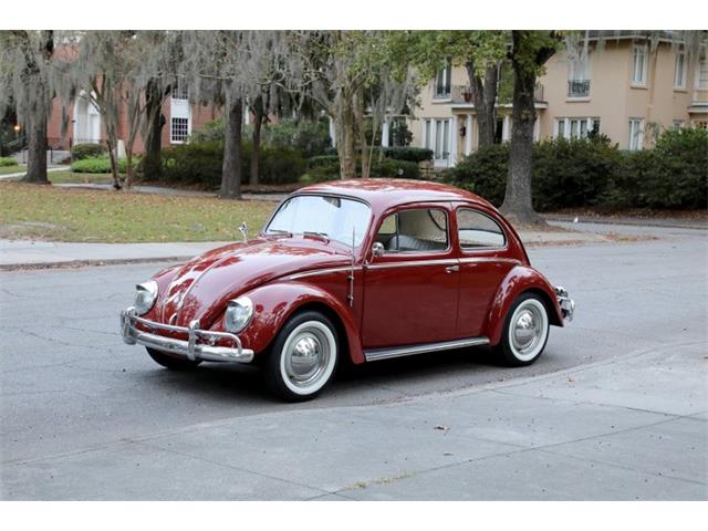 1959 Volkswagen Beetle (CC-1782717) for sale in Savannah, Georgia