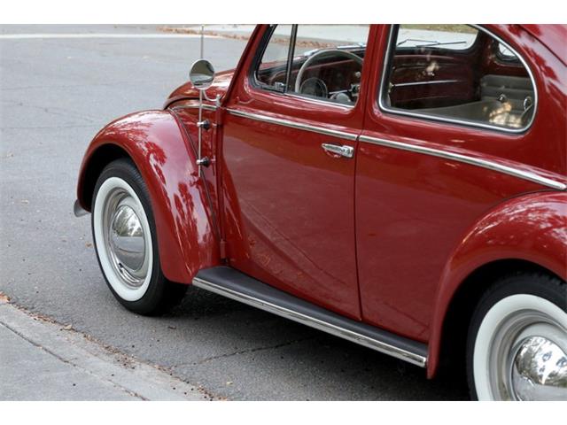 1959 Volkswagen Beetle (CC-1782717) for sale in Savannah, Georgia