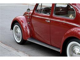 1959 Volkswagen Beetle (CC-1782717) for sale in Savannah, Georgia